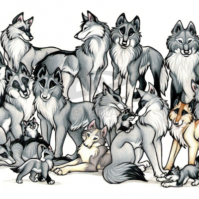 WeuUkoo Wolves
